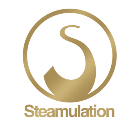 MANCHE STEAMULATION CARBON